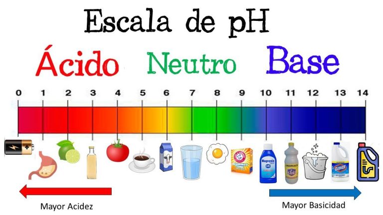 Cómo se lee el pH y qué significa en la química 6 Cómo se lee el pH y qué significa en la química