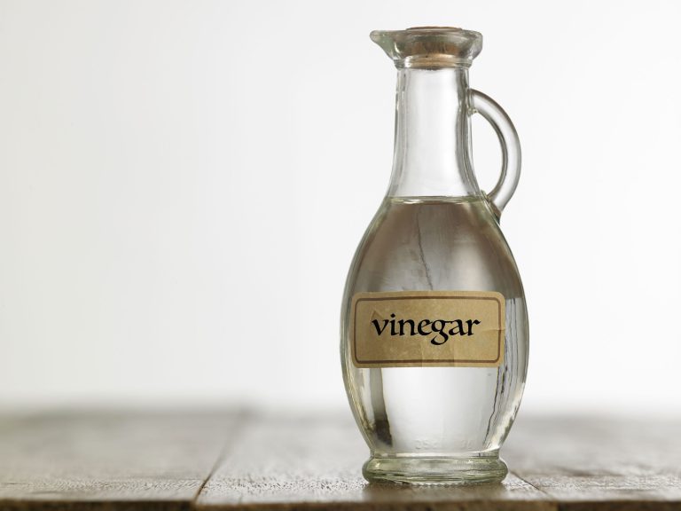 Cómo limpiar a tu gato con vinagre de manera segura y efectiva 7 Cómo limpiar a tu gato con vinagre de manera segura y efectiva