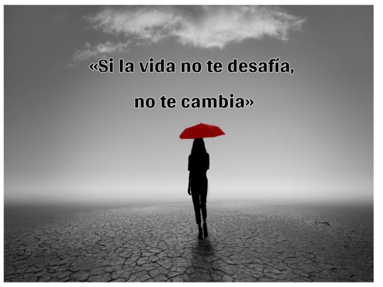Qué Frases Te Hacen Pensar y Reflexionar Sobre la Vida 2 la vida 1