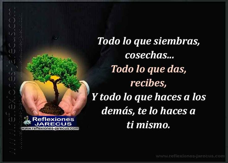 Por qué es importante la frase "Lo que siembras, cosechas" 5 Por qué es importante la frase «Lo que siembras, cosechas»